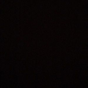 Meet your Posher, Jacqueline